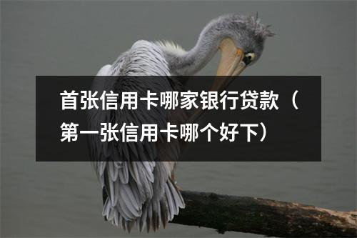 首张信用卡哪家银行贷款（第一张信用卡哪个好下）