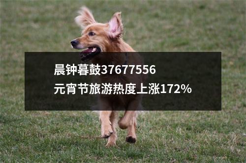 晨钟暮鼓37677556 元宵节旅游热度上涨172%