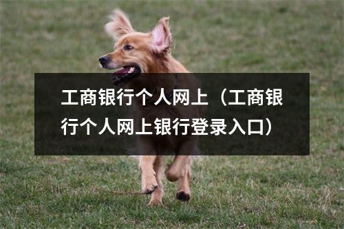 工商银行个人网上（工商银行个人网上银行登录入口）