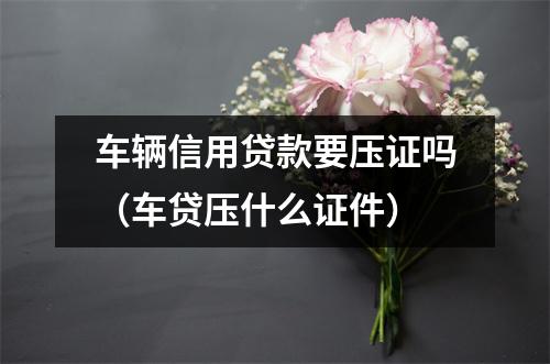 车辆信用贷款要压证吗（车贷压什么证件）