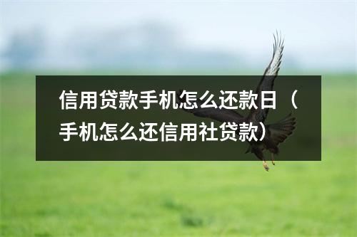 信用贷款手机怎么还款日（手机怎么还信用社贷款）