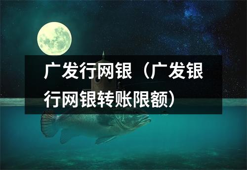 广发行网银(广发银行网银转账限额)