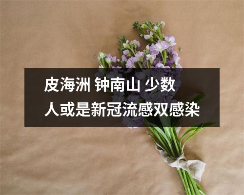 皮海洲 钟南山 少数人或是新冠流感双感染