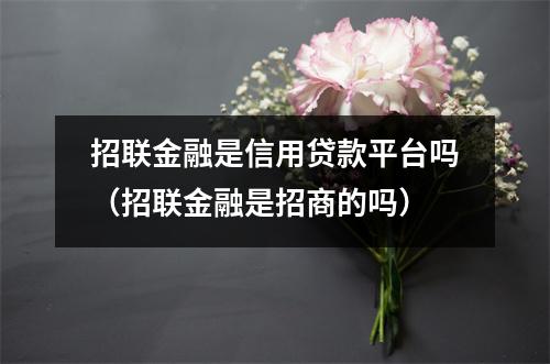 招联金融是信用贷款平台吗（招联金融是招商的吗）