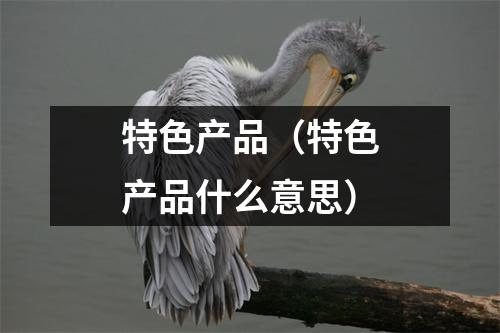 特色产品（特色产品什么意思）