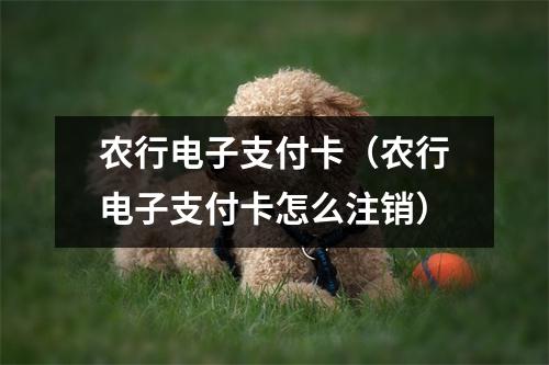 农行电子支付卡（农行电子支付卡怎么注销）