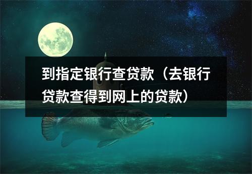 到指定银行查贷款（去银行贷款查得到网上的贷款）