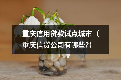重庆信用贷款试点城市（重庆信贷公司有哪些?）