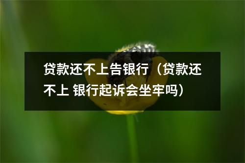 贷款还不上告银行（贷款还不上 银行起诉会坐牢吗）