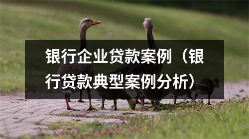 银行企业贷款案例（银行贷款典型案例分析）