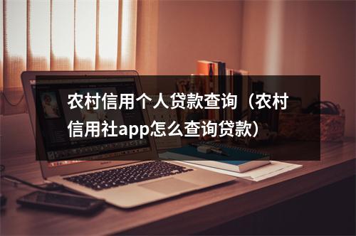 农村信用个人贷款查询（农村信用社app怎么查询贷款）