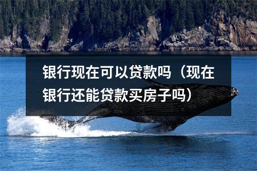 银行现在可以贷款吗（现在银行还能贷款买房子吗）