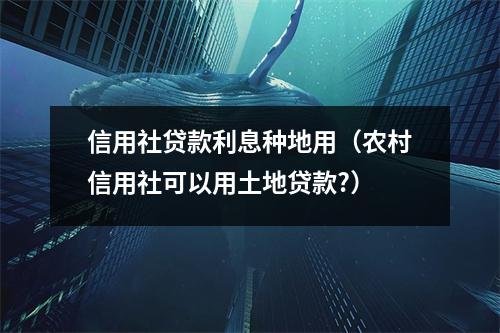 信用社贷款利息种地用（农村信用社可以用土地贷款?）