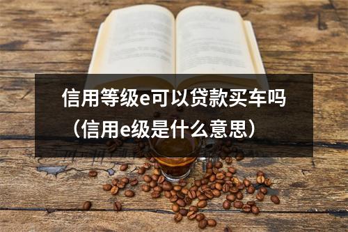 信用等级e可以贷款买车吗（信用e级是什么意思）