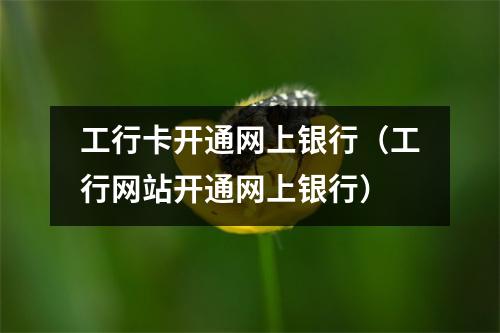 工行卡开通网上银行(工行网站开通网上银行)