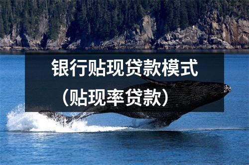 银行贴现贷款模式（贴现率贷款）