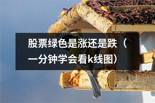股票绿色是涨还是跌（一分钟学会看k线图）