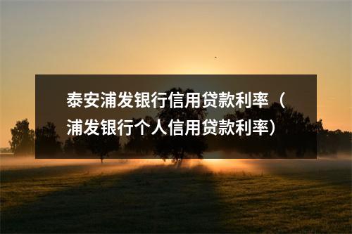 泰安浦发银行信用贷款利率（浦发银行个人信用贷款利率）