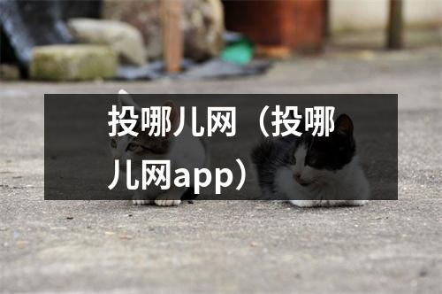 投哪儿网（投哪儿网app）