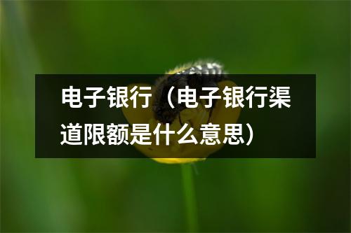 电子银行（电子银行渠道限额是什么意思）