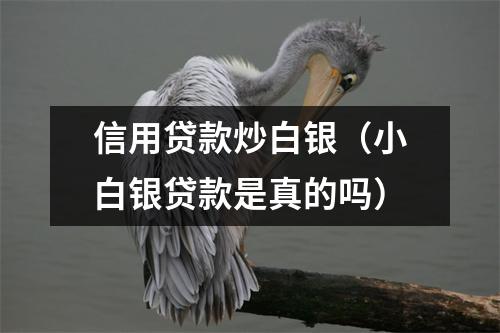 信用贷款炒白银（小白银贷款是真的吗）