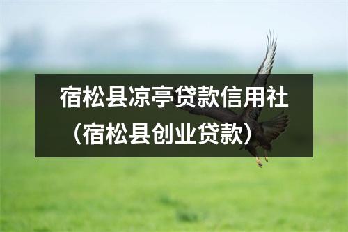 宿松县凉亭贷款信用社（宿松县创业贷款）