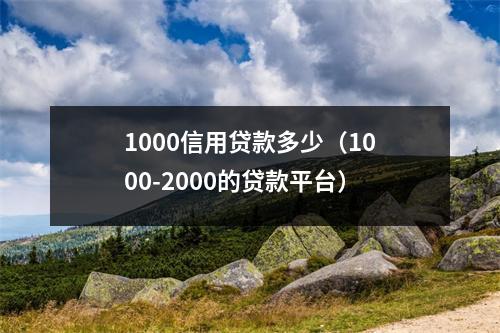 1000信用贷款多少（1000-2000的贷款平台）