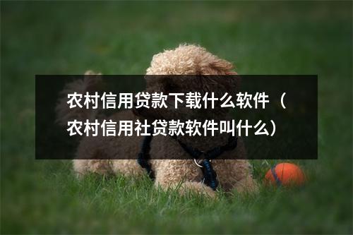 农村信用贷款下载什么软件（农村信用社贷款软件叫什么）