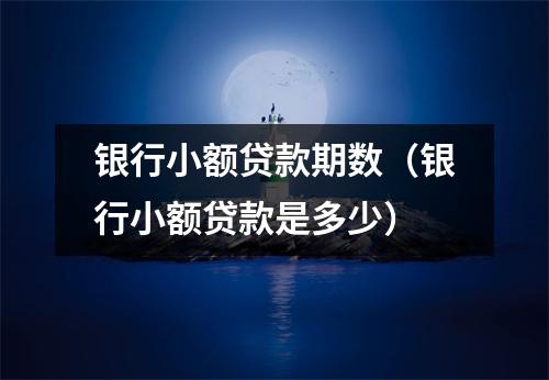 银行小额贷款期数（银行小额贷款是多少）