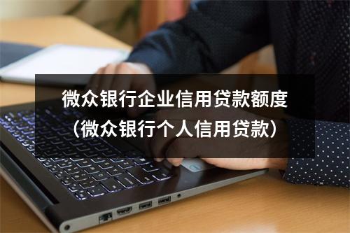 微众银行企业信用贷款额度（微众银行个人信用贷款）