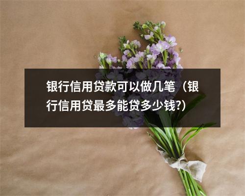银行信用贷款可以做几笔（银行信用贷最多能贷多少钱?）
