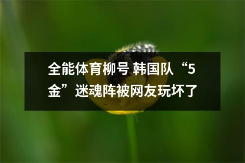 全能体育柳号 韩国队“5金”迷魂阵被网友玩坏了