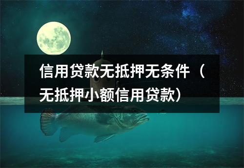 信用贷款无抵押无条件（无抵押小额信用贷款）