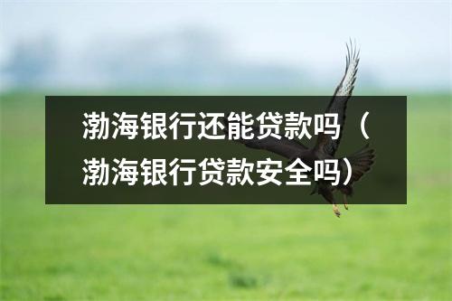 渤海银行还能贷款吗（渤海银行贷款安全吗）