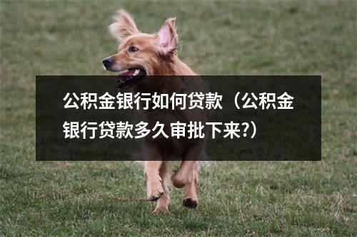 公积金银行如何贷款（公积金银行贷款多久审批下来?）