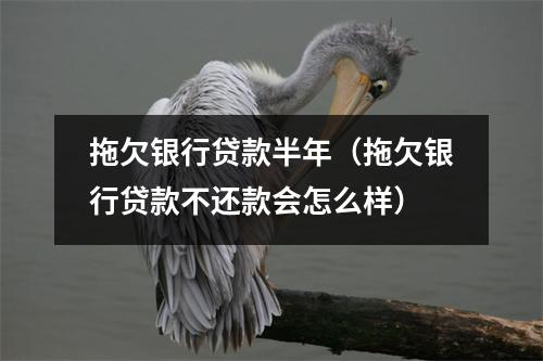 拖欠银行贷款半年（拖欠银行贷款不还款会怎么样）
