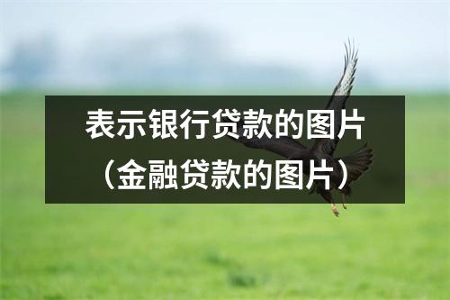 表示银行贷款的图片（金融贷款的图片）