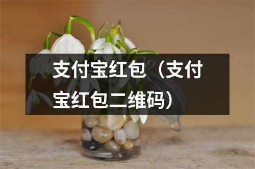 支付宝红包(支付宝红包二维码)