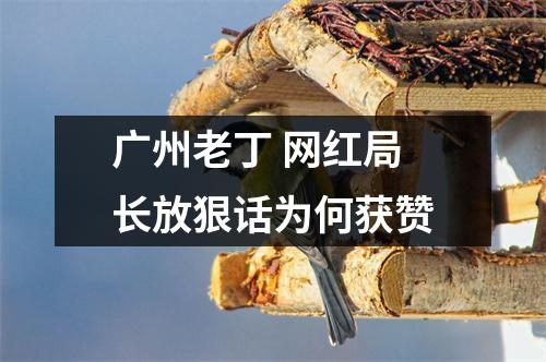 广州老丁 网红局长放狠话为何获赞