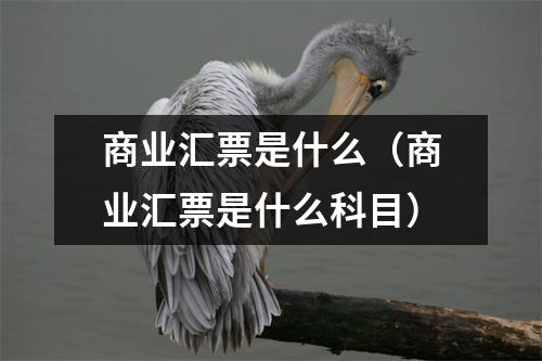 商业汇票是什么（商业汇票是什么科目）