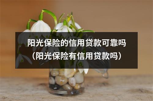 阳光保险的信用贷款可靠吗（阳光保险有信用贷款吗）