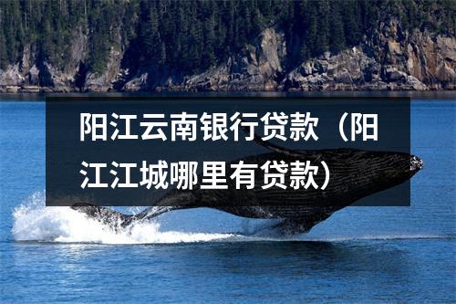 阳江云南银行贷款(阳江江城哪里有贷款)