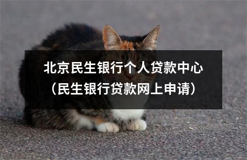 北京民生银行个人贷款中心（民生银行贷款网上申请）