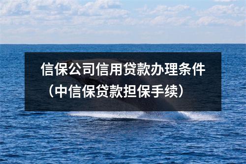 信保公司信用贷款办理条件(中信保贷款担保手续)