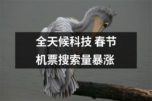 全天候科技 春节机票搜索量暴涨