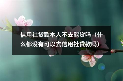 信用社贷款本人不去能贷吗（什么都没有可以去信用社贷款吗）
