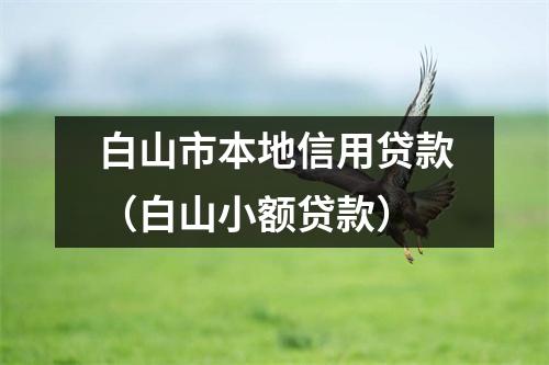 白山市本地信用贷款(白山小额贷款)