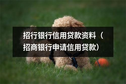 招行银行信用贷款资料（招商银行申请信用贷款）