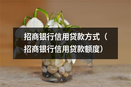 招商银行信用贷款方式（招商银行信用贷款额度）