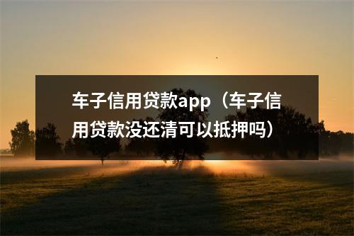 车子信用贷款app（车子信用贷款没还清可以抵押吗）